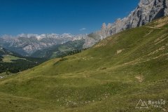 IMG_2363