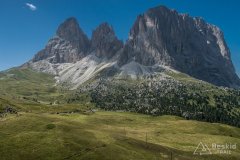 IMG_2364