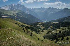 IMG_2369