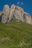 IMG_2370