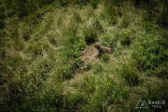 IMG_2372