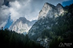 IMG_2395