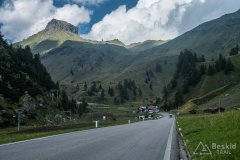 IMG_2397