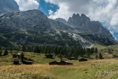 IMG_2398