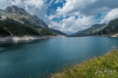 IMG_2403