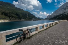 IMG_2411