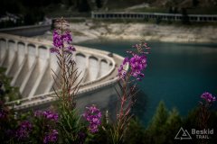 IMG_2414