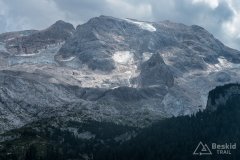 IMG_2417