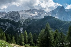 IMG_2418