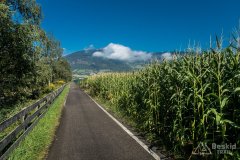 IMG_2422