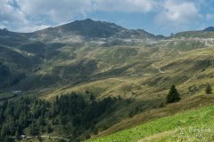 IMG_2429