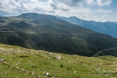 IMG_2433