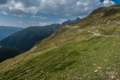 IMG_2434