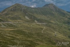 IMG_2440