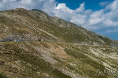 IMG_2441