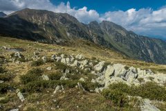 IMG_2450