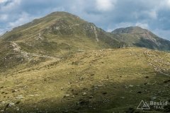 IMG_2451