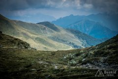 IMG_2452