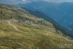 IMG_2454