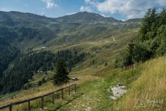 IMG_2456