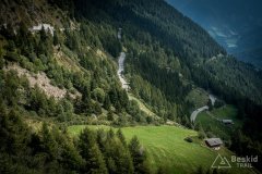 IMG_2458