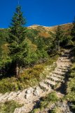 IMG_2475