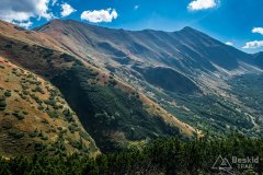 IMG_2478