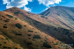 IMG_2479
