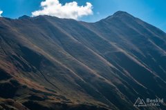 IMG_2481