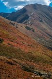 IMG_2485