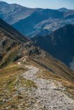 IMG_2494