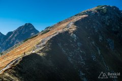IMG_2502