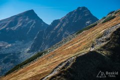 IMG_2504-1