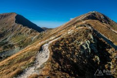 IMG_2505