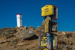 IMG_2516