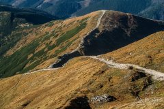 IMG_2517