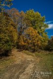 IMG_2545