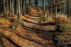 IMG_2550