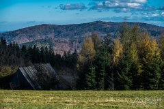 IMG_2554