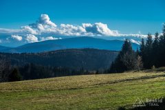 IMG_2555