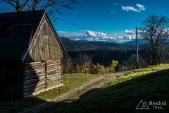 IMG_2557