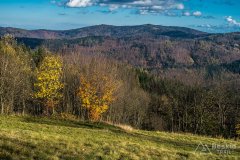 IMG_2558