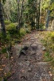 IMG_2560
