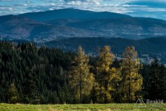 IMG_2566