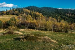 IMG_2569