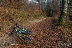 IMG_2570