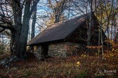 IMG_2572