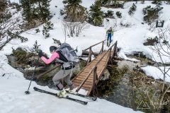IMG_3244