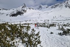 IMG_3246-1