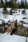IMG_3246